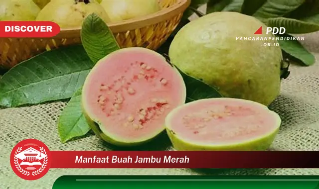 manfaat buah jambu merah