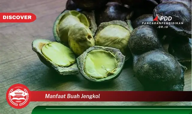 manfaat buah jengkol