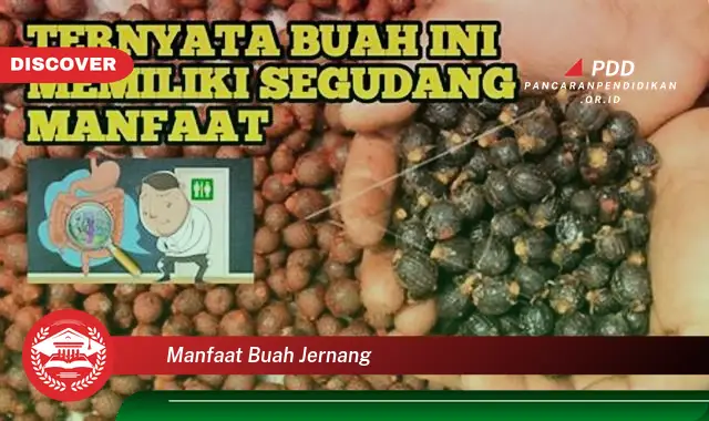 manfaat buah jernang