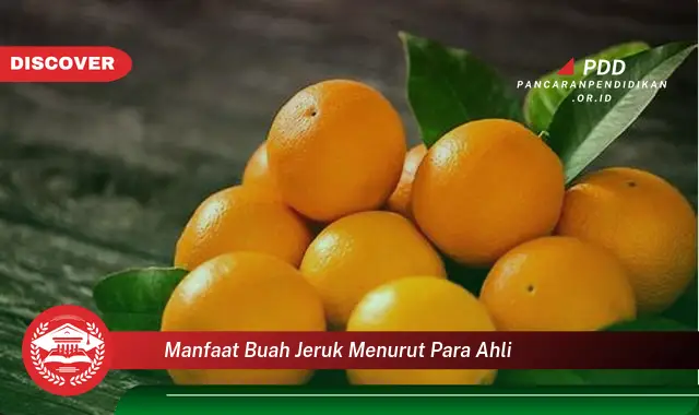 manfaat buah jeruk menurut para ahli