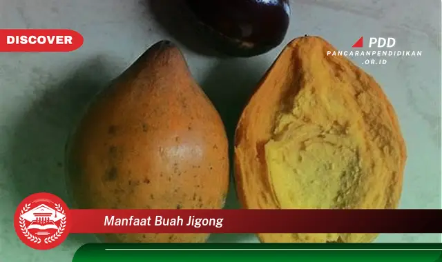 manfaat buah jigong