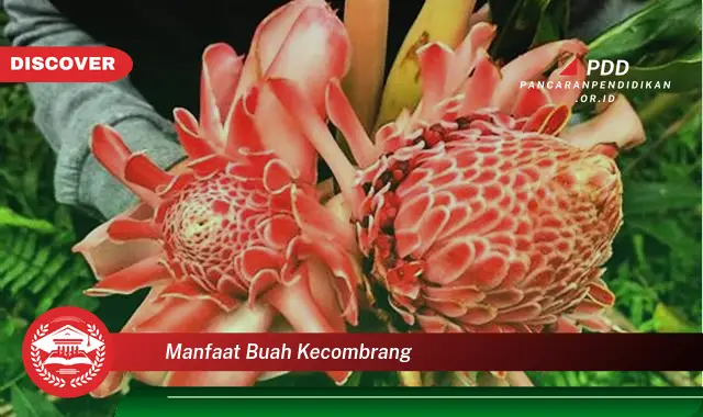 manfaat buah kecombrang