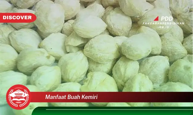 manfaat buah kemiri