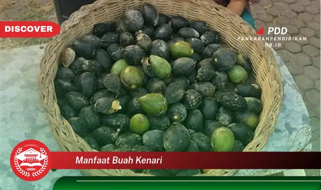 manfaat buah kenari