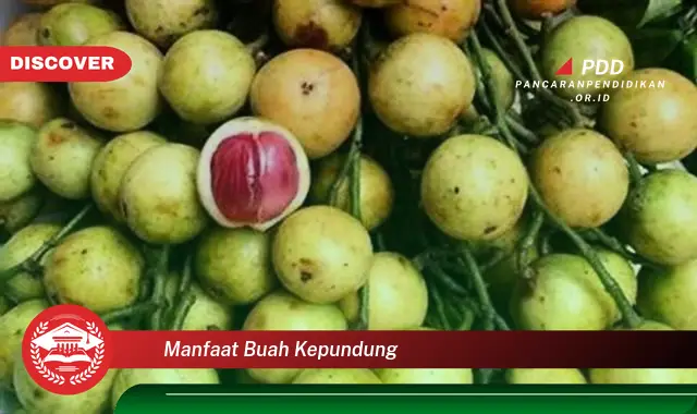 manfaat buah kepundung