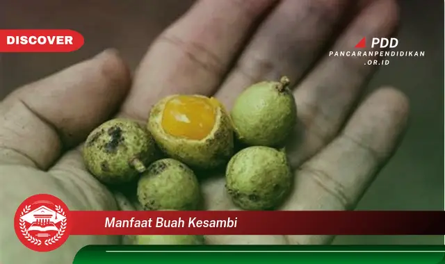 manfaat buah kesambi