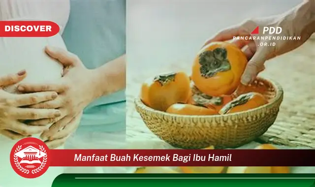 manfaat buah kesemek bagi ibu hamil