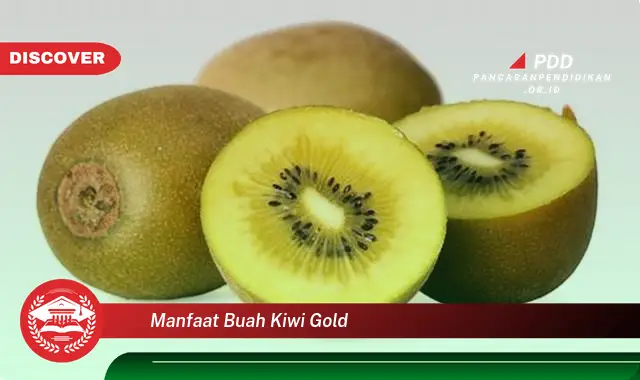 manfaat buah kiwi gold