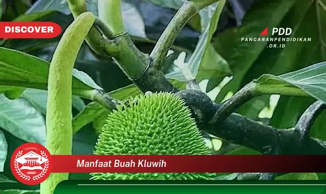 manfaat buah kluwih