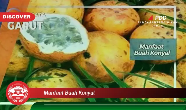 manfaat buah konyal