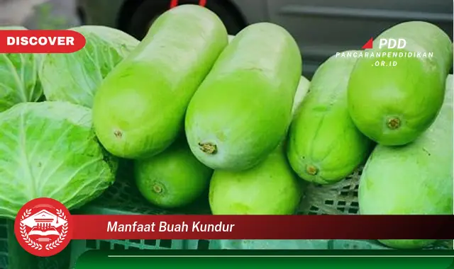 manfaat buah kundur