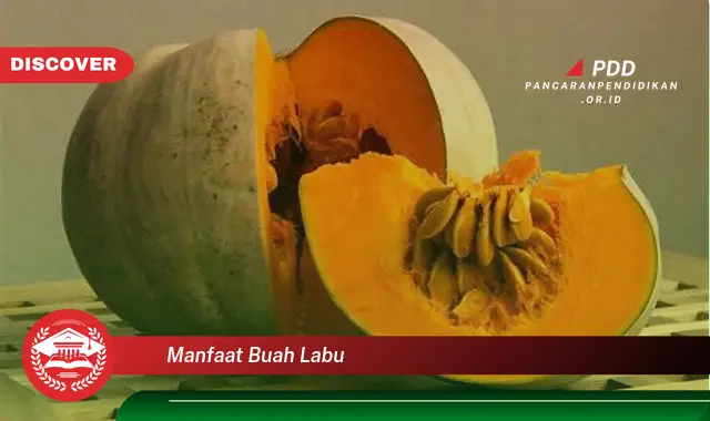 manfaat buah labu