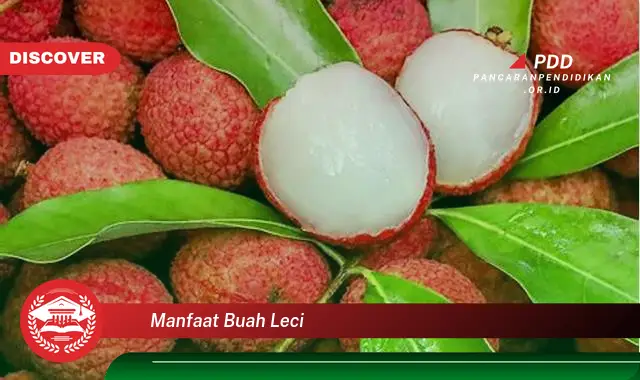 manfaat buah leci