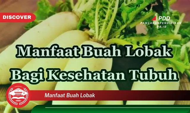 manfaat buah lobak