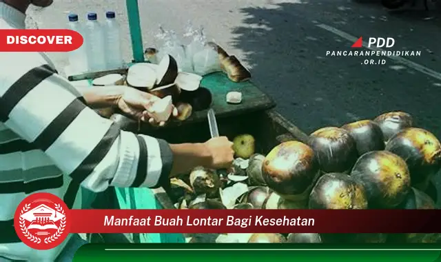 Banyak yang Belum Tahu, Ketahui 30 Manfaat Buah Lontar yang Bikin Penasaran