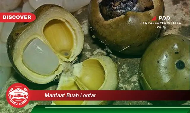 manfaat buah lontar