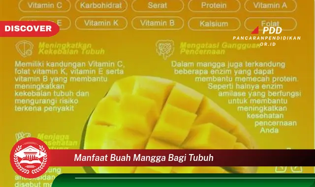 manfaat buah mangga bagi tubuh