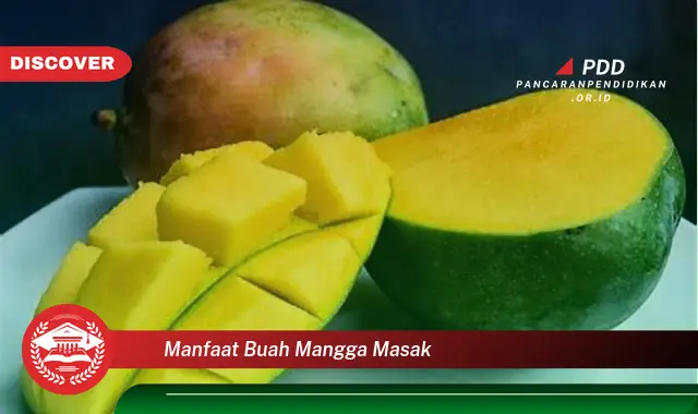 manfaat buah mangga masak