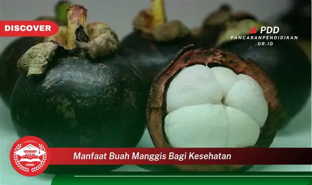 manfaat buah manggis bagi kesehatan