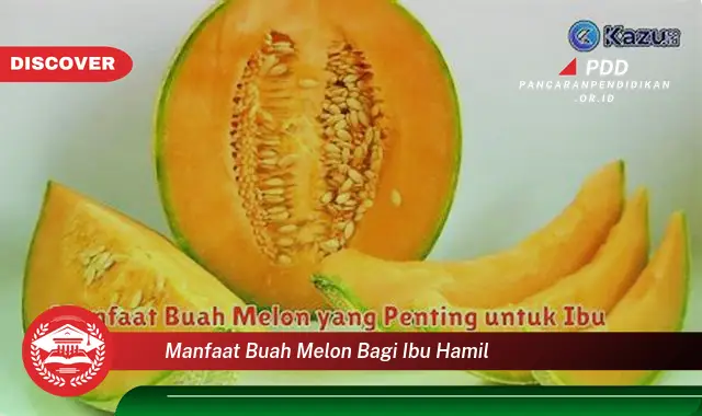 manfaat buah melon bagi ibu hamil