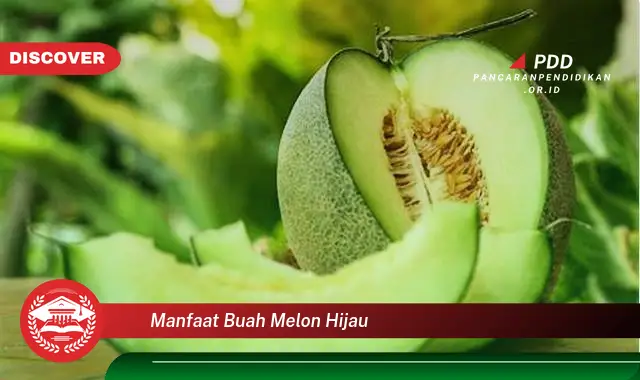 manfaat buah melon hijau