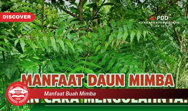 manfaat buah mimba