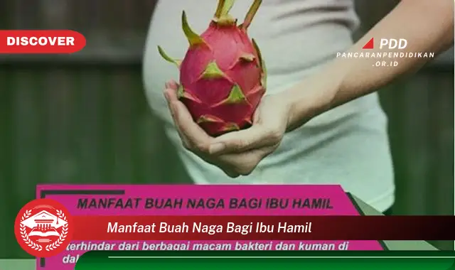 manfaat buah naga bagi ibu hamil