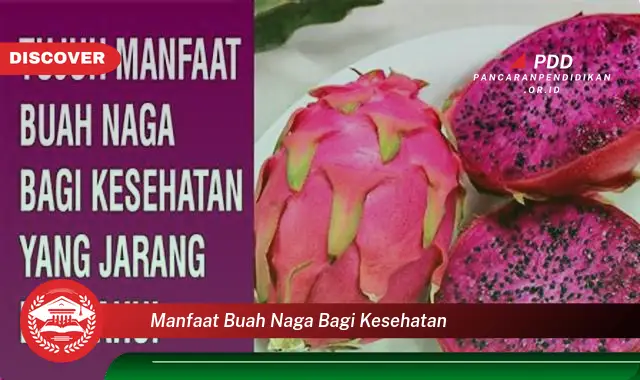 manfaat buah naga bagi kesehatan