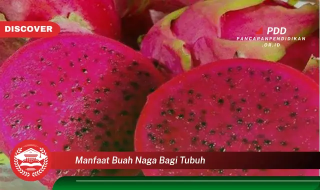 manfaat buah naga bagi tubuh