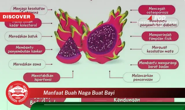 manfaat buah naga buat bayi