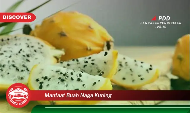 manfaat buah naga kuning