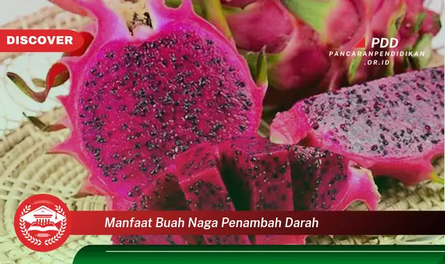 manfaat buah naga penambah darah