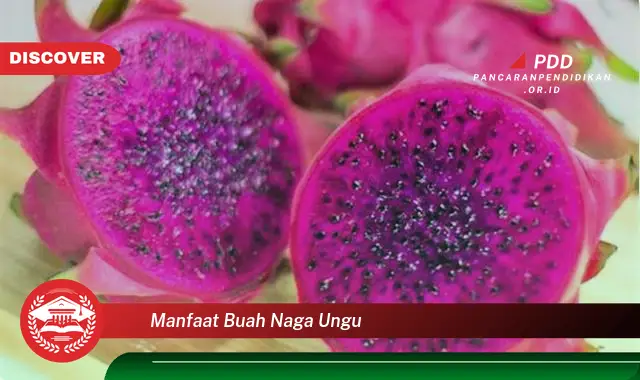 Banyak yang Belum Tau, Inilah 30 Manfaat Buah Naga Ungu yang Bikin Penasaran