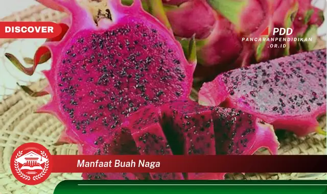 manfaat buah naga