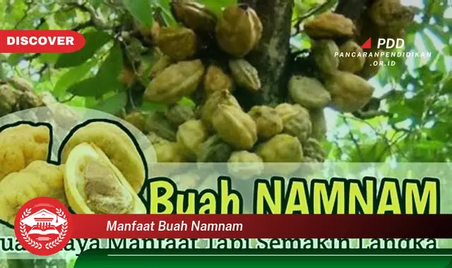 manfaat buah namnam