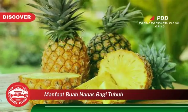 manfaat buah nanas bagi tubuh