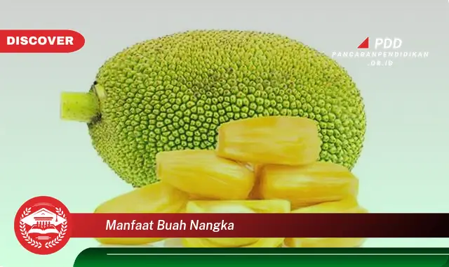 manfaat buah nangka