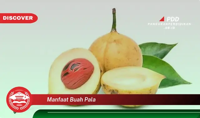 manfaat buah pala