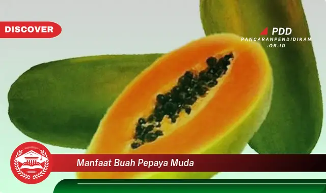 manfaat buah pepaya muda