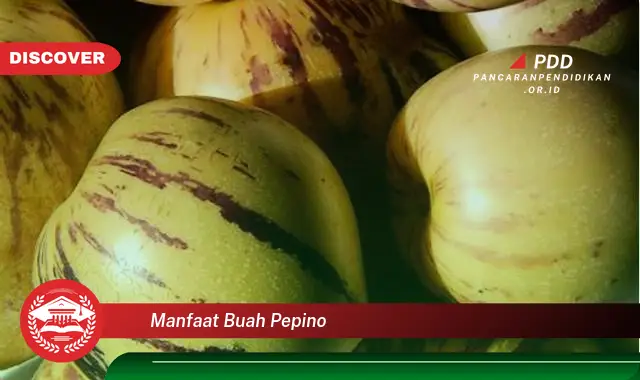 manfaat buah pepino