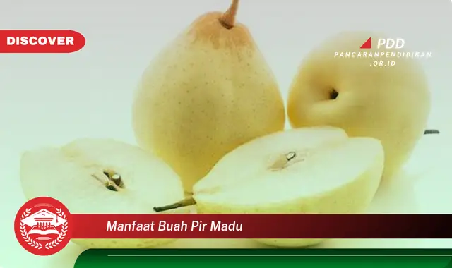 manfaat buah pir madu