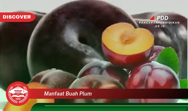 Kamu Wajib Tahu, 30 Manfaat Buah Plum yang Jarang Diketahui