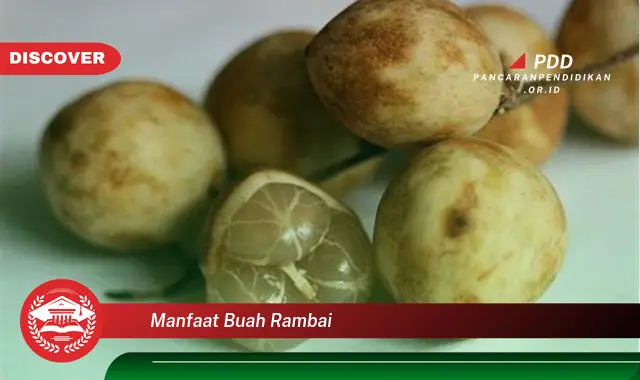 manfaat buah rambai