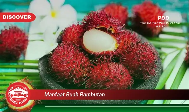 Ketahui 30 Manfaat Buah Rambutan yang Harus Diketahui