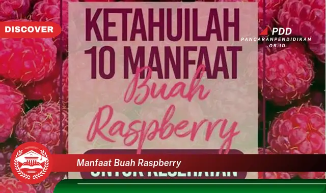 Jarang Diketahui, Ini dia 30 Manfaat Buah Raspberry yang Bikin Penasaran