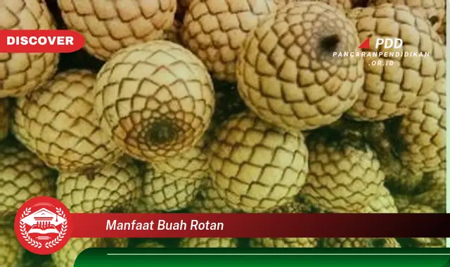 manfaat buah rotan