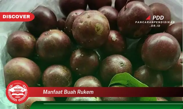 manfaat buah rukem