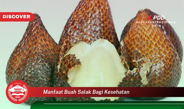 manfaat buah salak bagi kesehatan
