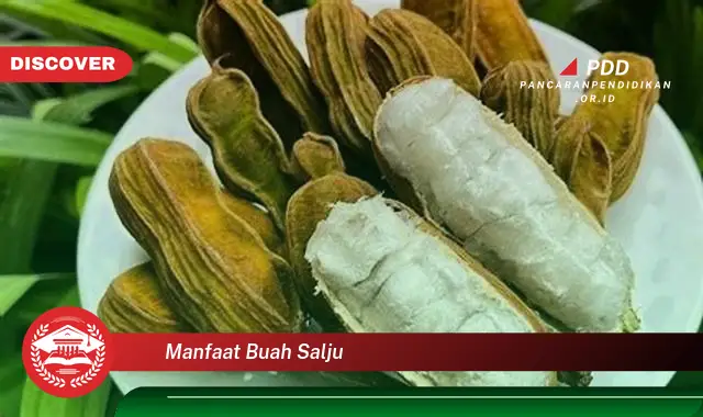 manfaat buah salju