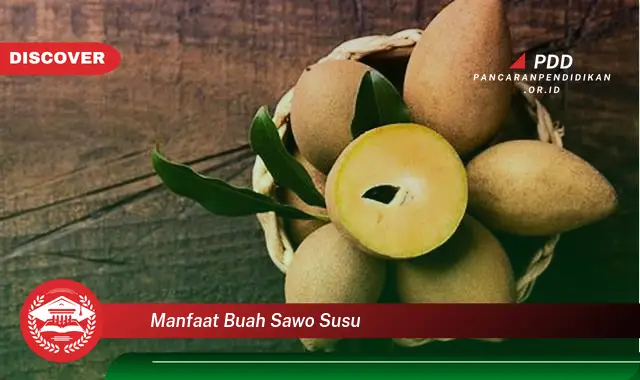 manfaat buah sawo susu